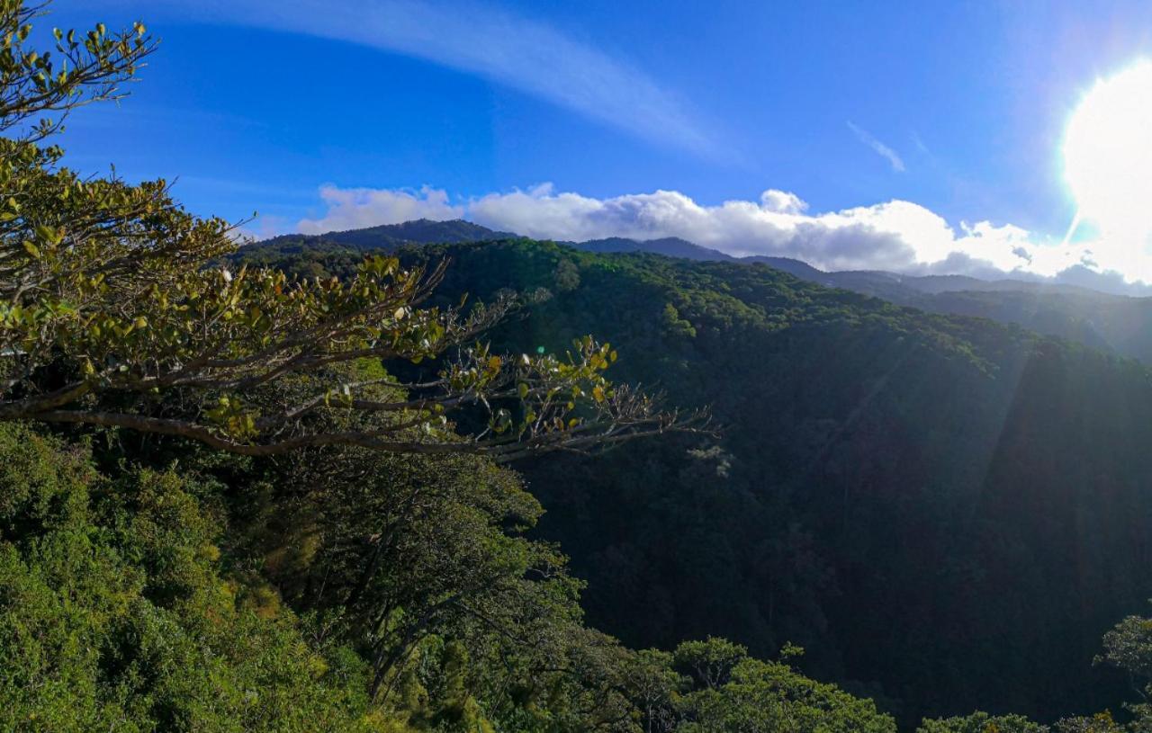 哥斯达黎加彩虹谷山林小屋 Monteverde 外观 照片